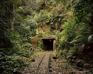 Chris Corson-Scott | George's Tunnel, Waitākere Dam Tramline, 2015