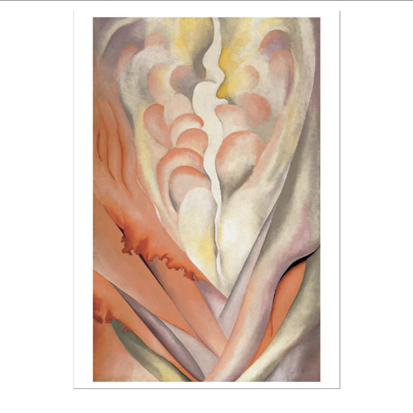 Georgia O'Keeffe Abstract Flowers - Boxed Notecards | Pomegranate