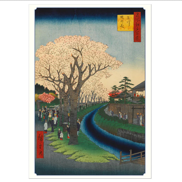 Hiroshige Cherry Blossoms - Boxed Notecards | Pomegranate