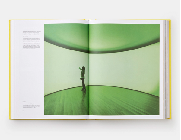 Olafur Eliasson: Experience | Phaidon