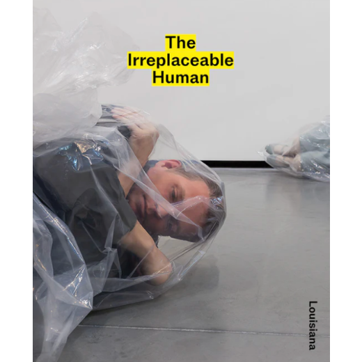 The Irreplaceable Human, The: Conditions of Creativity in the Age of AI