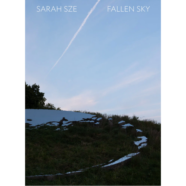 Sarah Sze: Fallen Sky