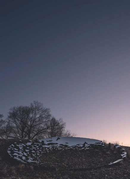 Sarah Sze: Fallen Sky