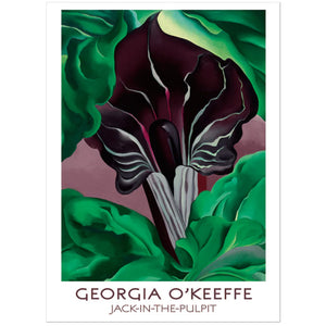 Georgia O'Keeffe Jack-In-The-Pulpit - Boxed Notecards | Pomegranate