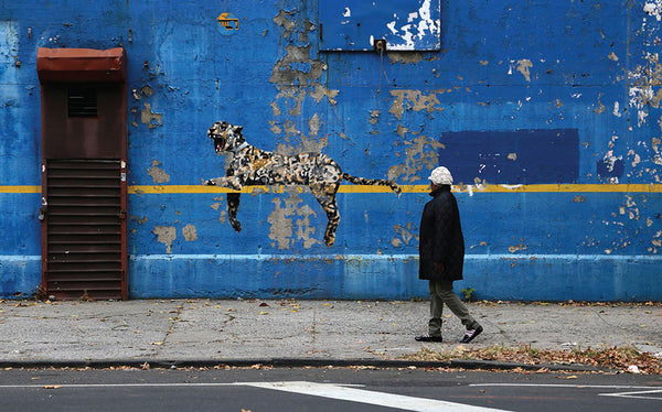 Banksy in New York | Ray Mock | Gingko press