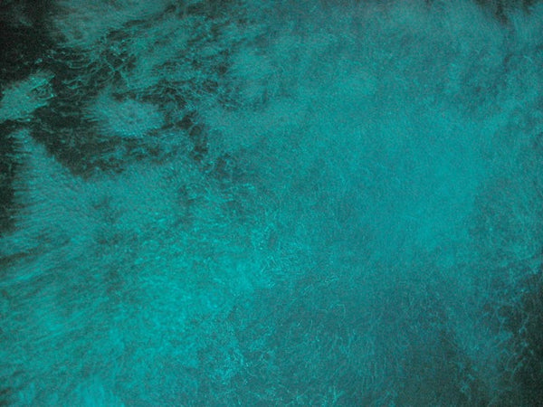 Stella Brennan, Phantasmagoria (turquoise), 2005/15 archival pigment print on Hahnemuhle, 650 x 850 mm, edition of 3